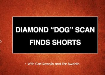 DP TRADING ROOM: Find Shorts Using the Diamond Dog Scan