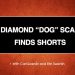 DP TRADING ROOM: Find Shorts Using the Diamond Dog Scan