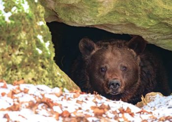 S&P 500 Approaches 100-Day Moving Average: Is Now an Attractive Time to Buy Stocks?