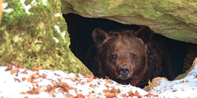 S&P 500 Approaches 100-Day Moving Average: Is Now an Attractive Time to Buy Stocks?