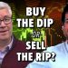 Buy the Dip or Sell the Rip?