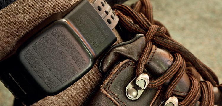 The number of participants in electronic offender monitoring programmes reached 1.4 million in Europe and the Americas in 2023