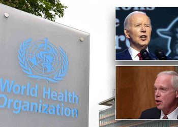 All GOP senators press Biden not to support expanding WHO pandemic authority