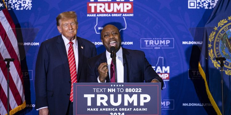 Senator’s fundraising skill could be winning ticket for Trump’s veepstakes