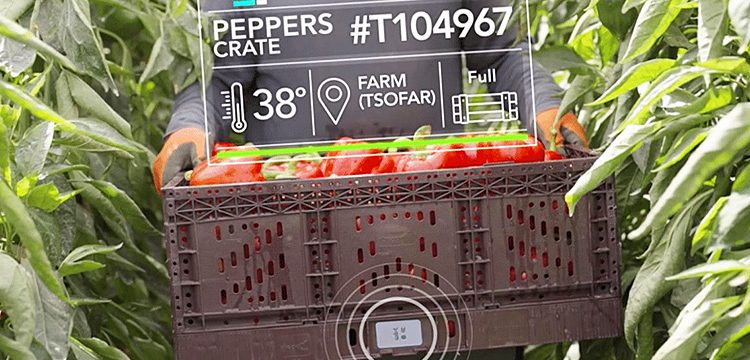 Wiliot Introduces New Ambient IoT Food Safety Initiative to Help the Food Industry Create Safer, More Traceable Supply Chains