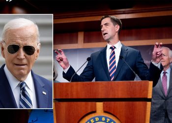 ‘No choice’ but to impeach Biden over delayed Israel aid, GOP senator says