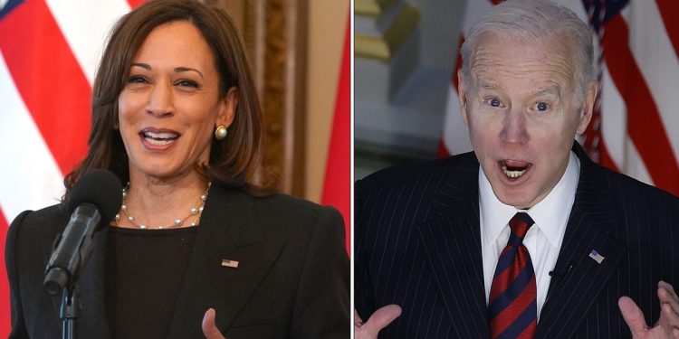 What is VP Harris’ role in 25th Amendment and how would it work to remove Biden?: Experts