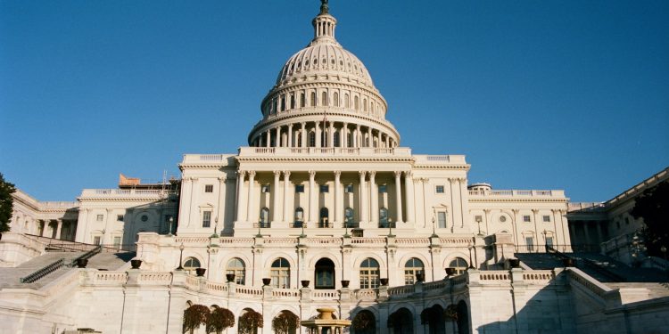 What could Donald Trump’s victory mean for Bitbot in 2024?