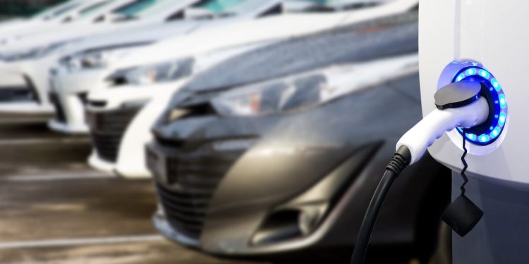 Tesla Stock’s Shocking Comeback: What You Need to Know Before July 23