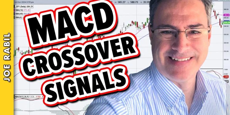 Why the MACD Crossover Signal is SO Important