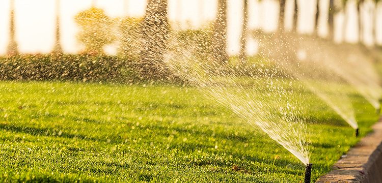 CisgenX Launches in the U.S., Leading the Way in Smart Irrigation Solutions for Water and Energy Efficiency