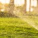 CisgenX Launches in the U.S., Leading the Way in Smart Irrigation Solutions for Water and Energy Efficiency