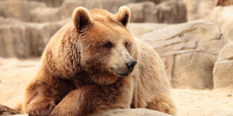 Asian stocks dip ahead of US jobs data: Nikkei extends decline to 3rd day