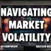 Stock Market Volatility: Pain Points, Bright Spots, and Strategies