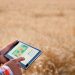 How Smart Agriculture Can Utilize a Satellite API for Earth Observation