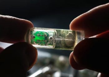 Inside the Body: How Ingestible Sensors Are Shaping the Future of Healthcare