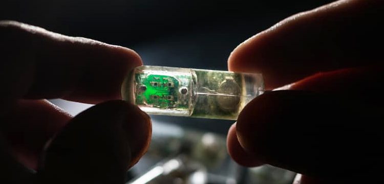 Inside the Body: How Ingestible Sensors Are Shaping the Future of Healthcare