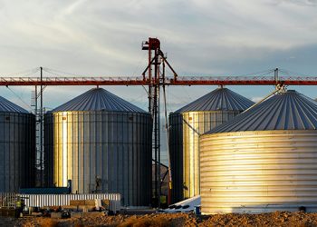 Soracom’s Reliable IoT Connectivity Powers BinSentry’s Livestock Feed Solutions