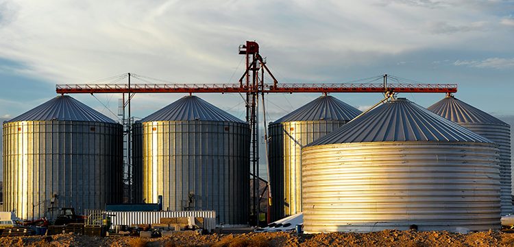 Soracom’s Reliable IoT Connectivity Powers BinSentry’s Livestock Feed Solutions