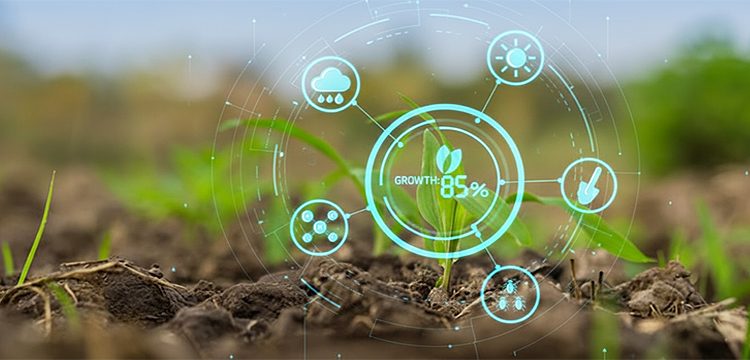 Smart Agriculture in 2026: Soil Sensors, Robotics and the Economics of Connectivity